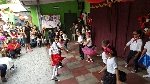 Boletines