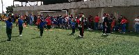 Boletines